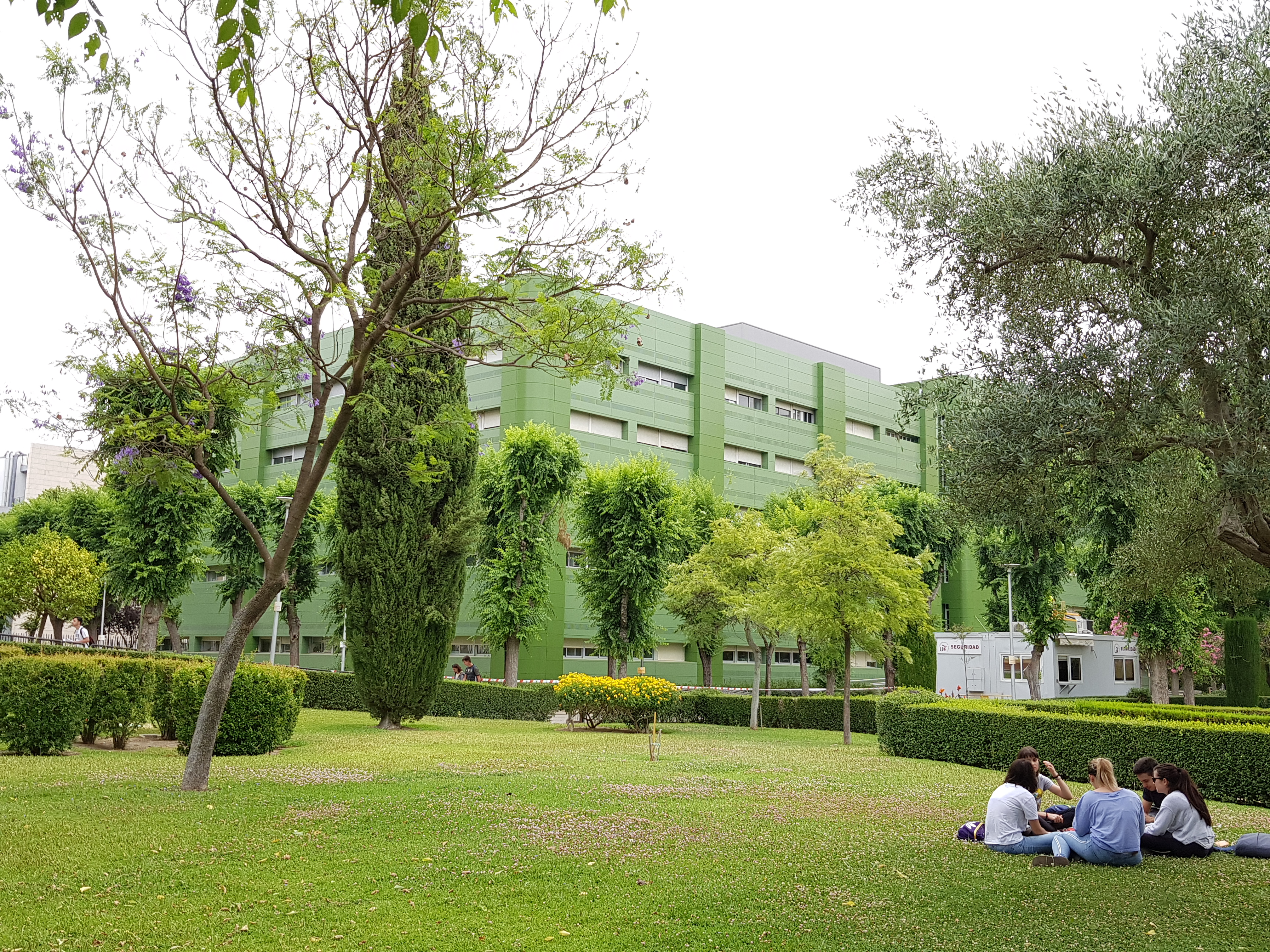 proyectos de oficinas sevilla: Obra Arquitectura Sevilla